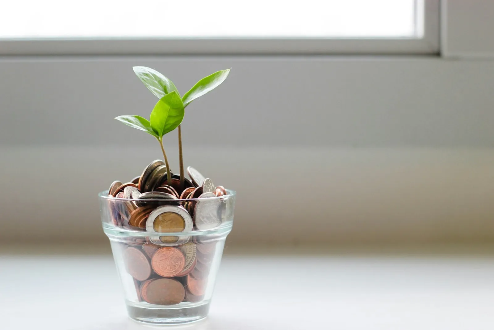 A glass pot of coins with a seedling growing out of it