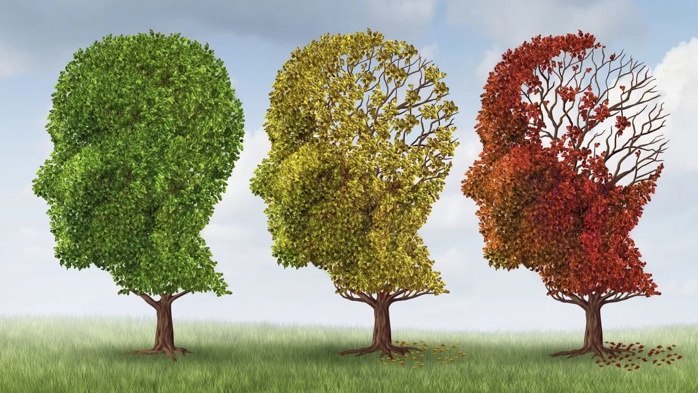 Three trees shaped like human heads, progressively losing their leaves
